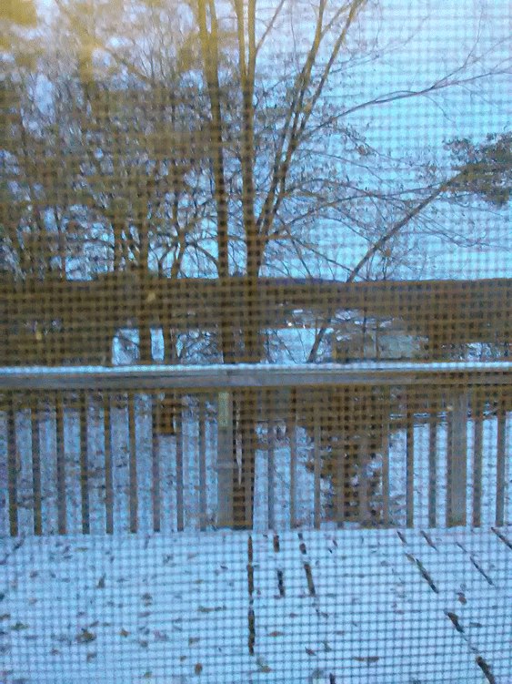 Large Back Yard Deck Large Back Yard Deck